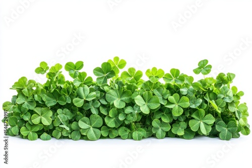 Fresh green clover patch symbol of Irish luck and St Patrick s Day celebration in white background. Generative Ai