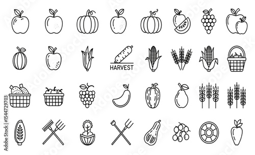 Harvest icon set with apple, pumpkin, wheat, grapes and other fall produce in outline style