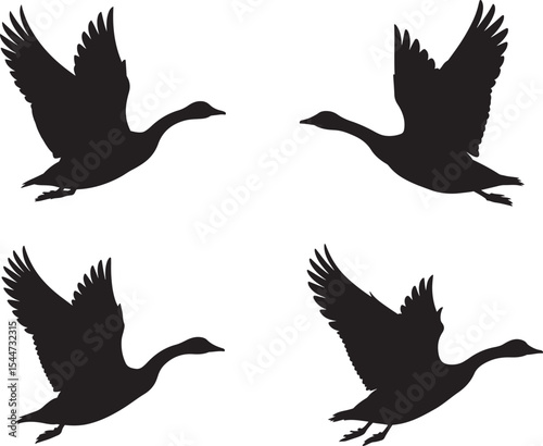 Four Black Geese Silhouettes in Flight White Background