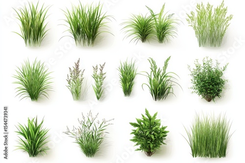 Lush green plants reach skyward whispering secrets in the light grouped on white in white background. Generative Ai