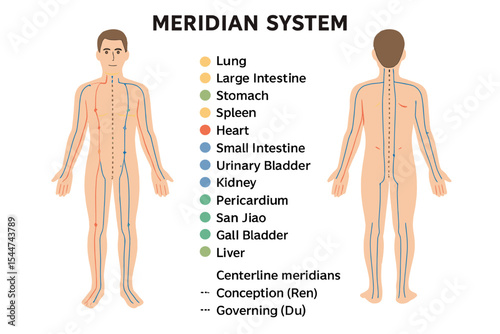 Traditional Chinese Medicine illustration of a male body showing principal and centerline acupuncture meridians in anterior and posterior views on a white background