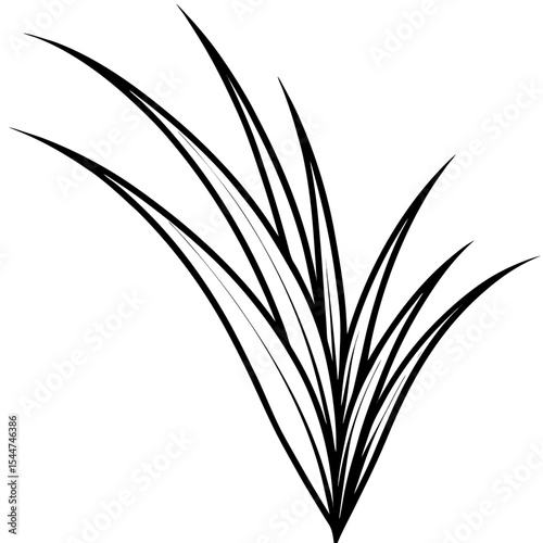 Minimal Grass Blade Outline Vector 