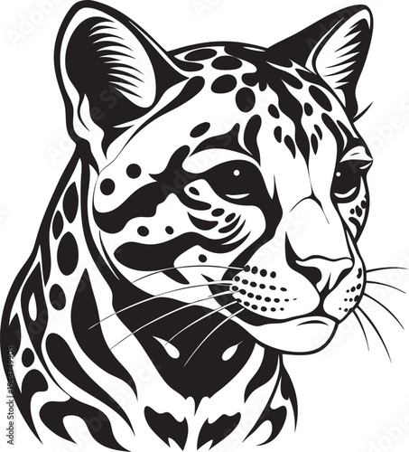 This collection of images features illustrations of leopards, some with detailed spots and whiskers, captured in poses like stalking, resting, or roaring