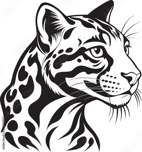 This collection of images features illustrations of leopards, some with detailed spots and whiskers, captured in poses like stalking, resting, or roaring