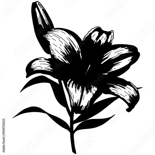 Detailed black and white hand-drawn illustration of a blooming lily flower with fine lines and intricate petal textures, ideal for botanical designs and vintage floral art.