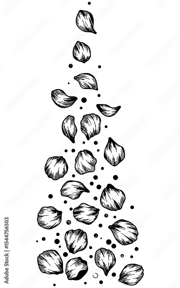 Hand-drawn black and white illustration of scattered falling flower petals with sketchy textures and ink shading, arranged in a cascading vertical layout.