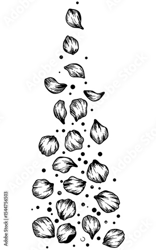 Hand-drawn black and white illustration of scattered falling flower petals with sketchy textures and ink shading, arranged in a cascading vertical layout.
