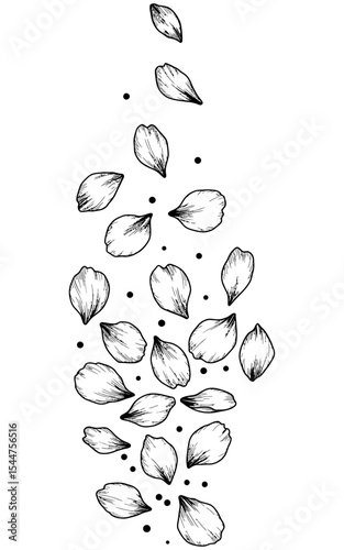 Hand-drawn black and white illustration of scattered falling flower petals with sketchy textures and ink shading, arranged in a cascading vertical layout.