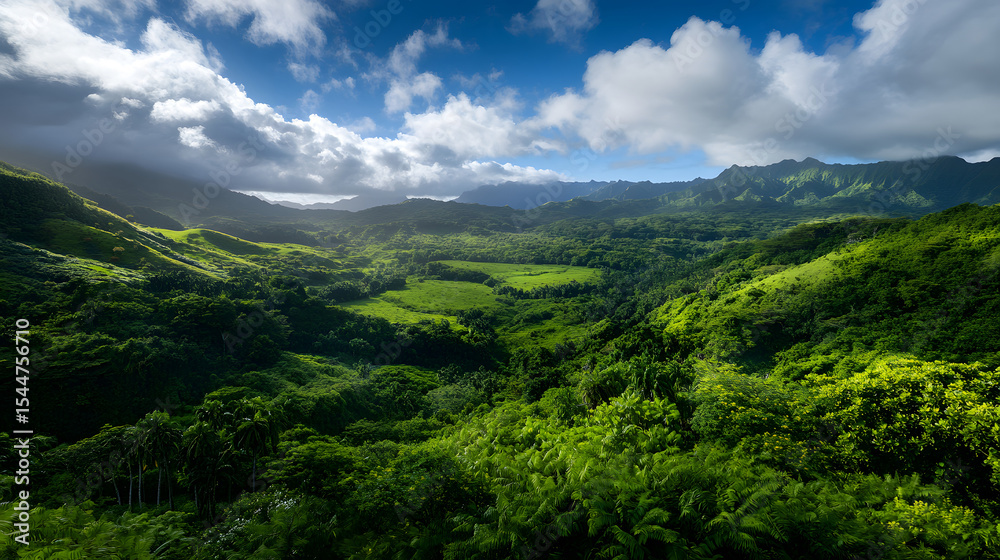 Fototapeta premium A lush green valley covered with tropical blossoms under a blue sky.