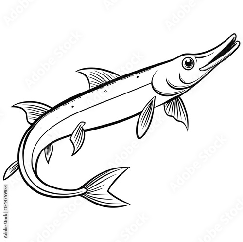 Adobe Illustrator Artwork