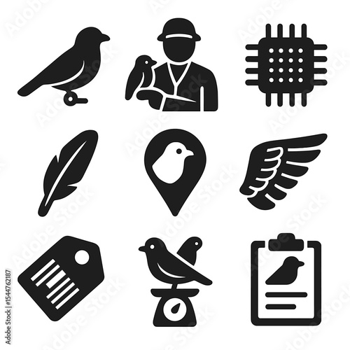 Avian Research Icons. Solid, filled icons set of avian research and tagging: bird tag, researcher, data chip,