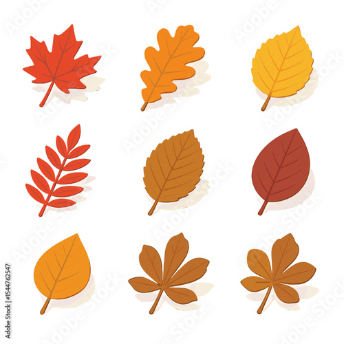 Autumn Leaf Icon Set. Isometric Flat icon set of autumn leaf colors: red maple leaf, orange oak leaf, yellow birch leaf, brown