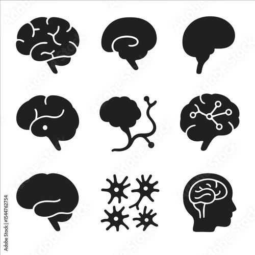 Brain Anatomy Icons. Solid, filled icons set of brain anatomy and memory regions: brain lobes, hippocampus region, prefrontal cortex, amygdala, neural pathway