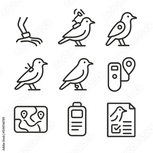 Bird Tracking Icons. Outline icon set of bird tagging and tracking: leg band, satellite tag, geolocator, radio transmitter, color