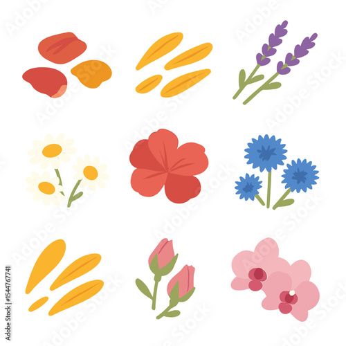 Floral Icon Set. Isometric Flat icon set of floral decorations: dried rose petals, calendula petals, lavender sprigs, chamomile