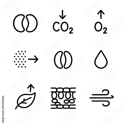 Gas Exchange Icons. Outline icon set of gas exchange process: stomatal opening, CO₂ arrow in, O₂ arrow out, diffusion gradient,