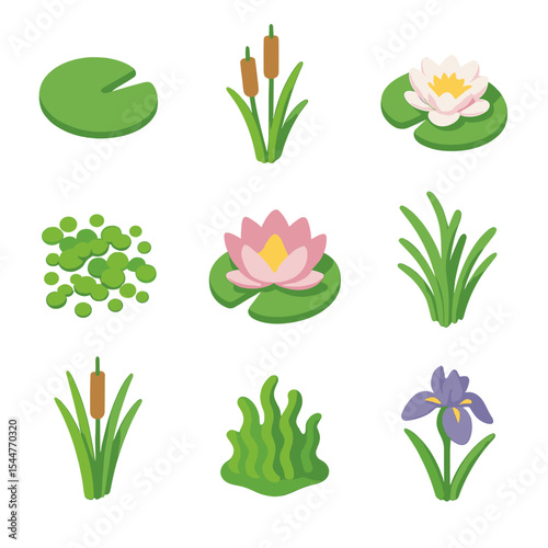 Pond Plant Icons. Isometric Flat icon set of pond plants: lily pad, cattail, water lily, duckweed, lotus, pondweed, bulrush, algae