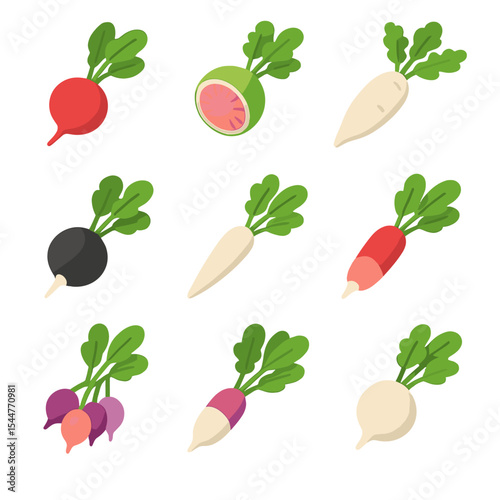 Radish Icon Set. Isometric Flat icon set of radish varieties: Cherry Belle, Watermelon radish, Daikon, Icicle, Black radish, White