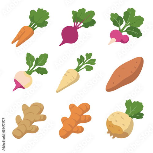 Root Vegetable Icons. Isometric Flat icon set of root vegetable group: carrot bunch, beetroot, radish bunch, turnip, parsnip,