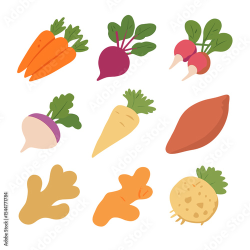 Root Vegetable Icons. Isometric Flat icon set of root vegetable group: carrot bunch, beetroot, radish bunch, turnip, parsnip,