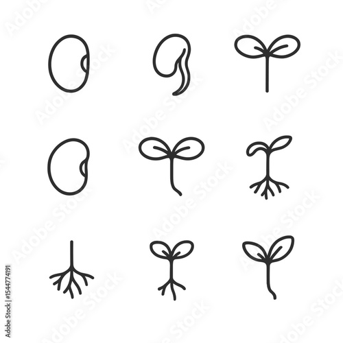Sprout Anatomy Icons. Outline icon set of sprout anatomy: seed coat, radicle root, hypocotyl, cotyledon leaf, epicotyl, seed scar,