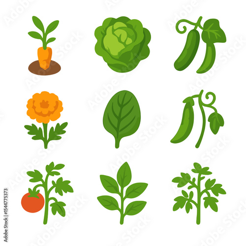 Radish Companion Plant Icons. Isometric Flat icon set of radish companion planting: carrot seedling, lettuce head, cucumber vine,