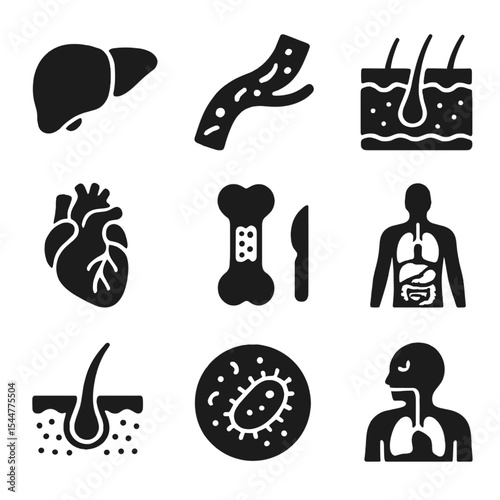 Medical Icon Grid. Solid, filled icons set of medical visualization: 3D organ, blood vessel, skin layer,