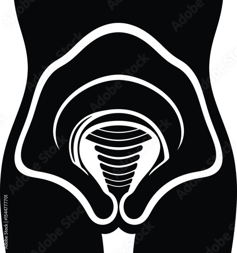 A stylized black and white illustration depicting the female reproductive system and pelvic region silhouette