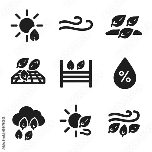 Seed Drying Icons. Solid, filled icons set of drying and curing seeds: sun icon, gentle breeze, drying mat,