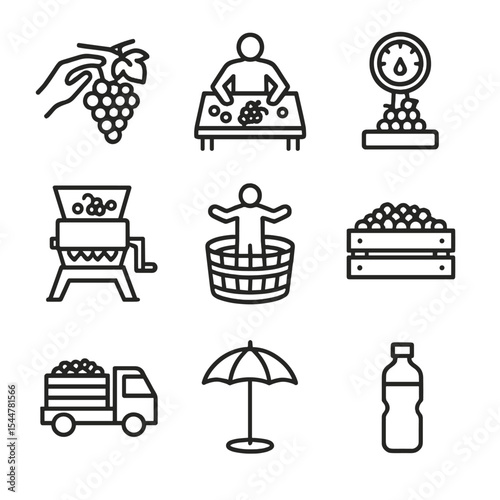 Vineyard Harvest Icons. Outline icon set of harvest activities in the vineyard: handpicking grapes, sorting table, weighing scale,