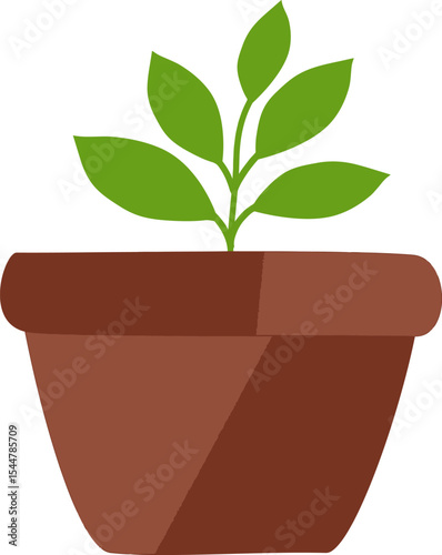 Plant in Pot: A vibrant green plant sprouts from a terracotta pot, symbolizing growth, new beginnings, and the beauty of nature.