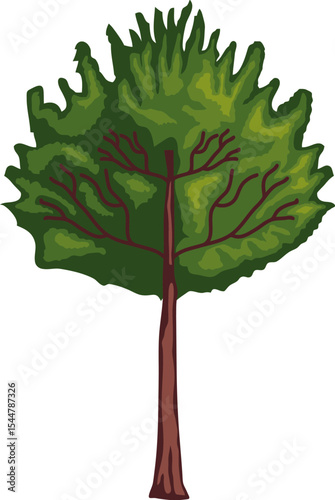 Green Tree Illustration: A vibrant illustration showcasing a lush green tree, with a focus on its detailed leaves and sturdy trunk. The artwork is a simple representation of a natural, fresh.