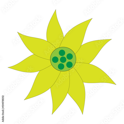 elegant yellow sunflower 