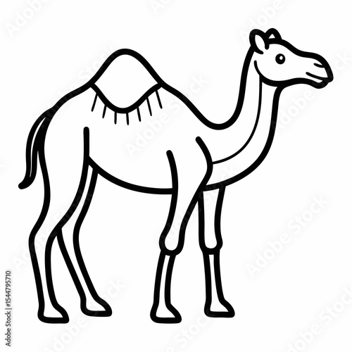 camel in desert