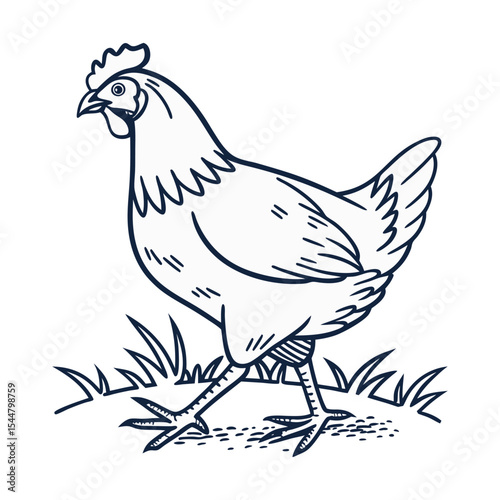 Farm poultry vector illustration: isolated cartoon hen, rooster, and chick with feathers