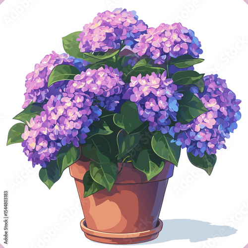 Flat vector illustration of hydrangeas in pot on white background. Pink flowers and blue leafs