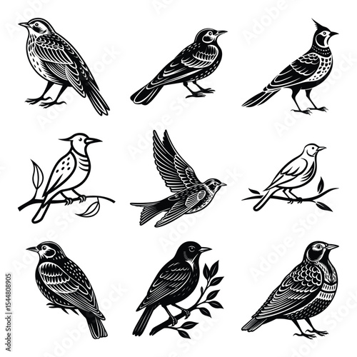 Skylark birds set icon silhouette clipart