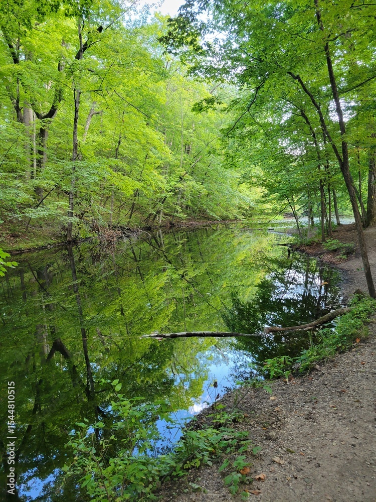 Fototapeta premium Winding river