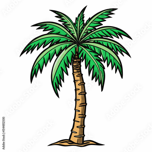 palm tree vector illustration