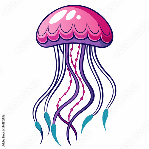 vector illustration of jellyfish
