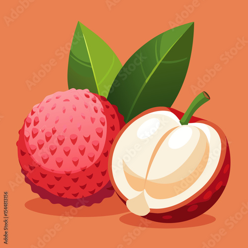 vector illustration of a lichi