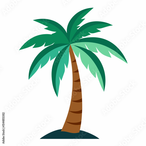 palm tree vector illustration