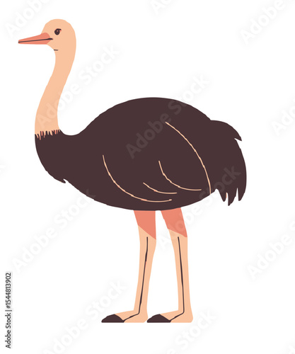 vector illustration of cartoon ostrich