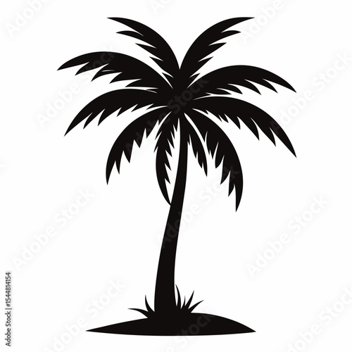 palm tree silhouette