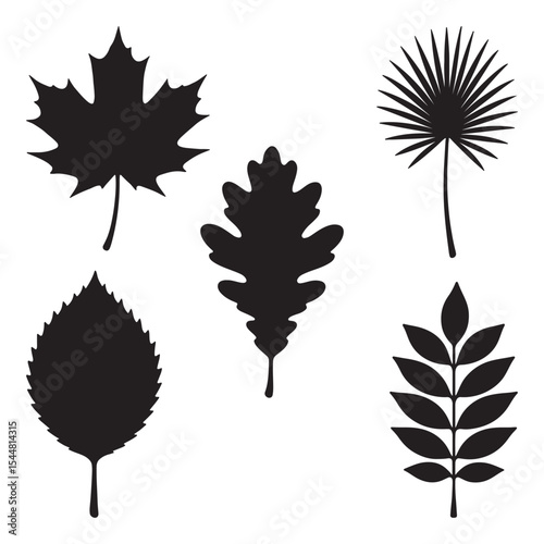 Minimalist Leaves Silhouettes from Various Tree Species