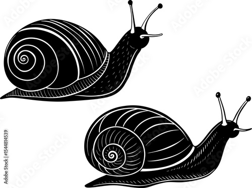 A snail with extended antennae, isolated on a white background