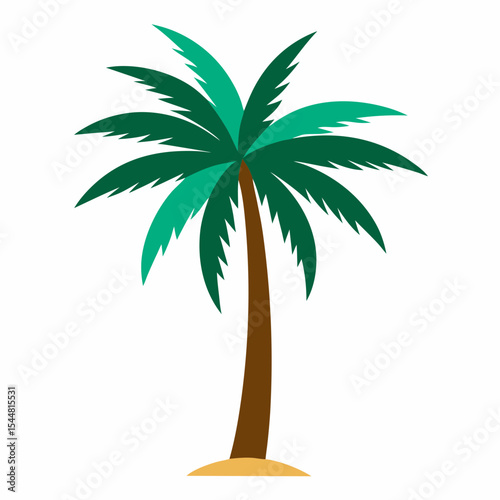 palm tree vector illustration