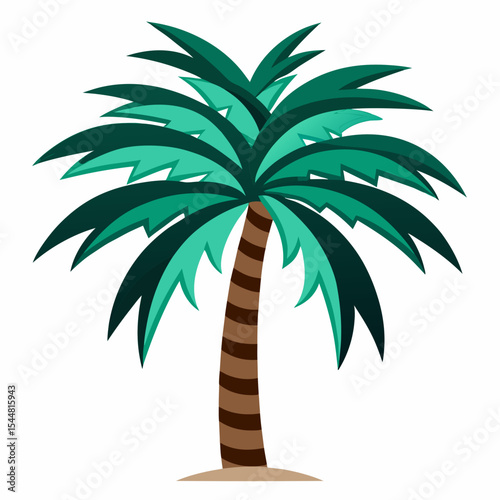 palm tree vector illustration