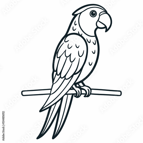 parrot on a branch