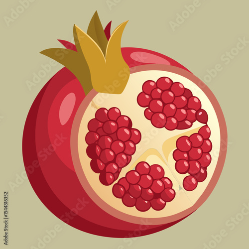 vector illustration of a pomegranate